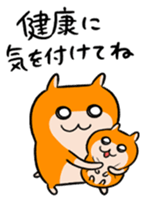 641261312