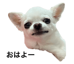 641273662