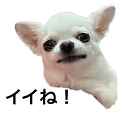 641273668