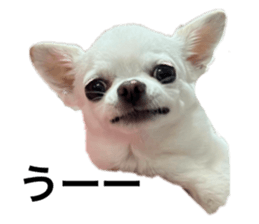 641273673