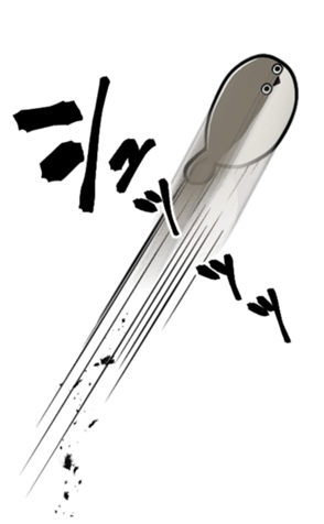 641294255