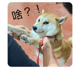 641295093