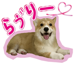 641330125