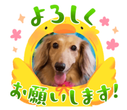 641336480