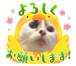 641341737