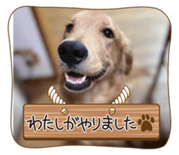641341825
