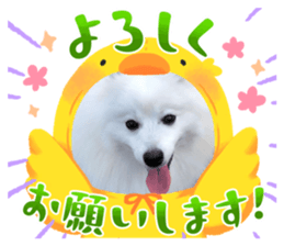 641344889