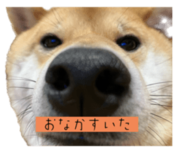641345417