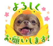 641354321