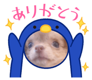 641354322