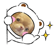 641354332