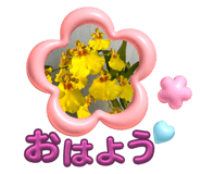641362390