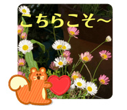 641362417