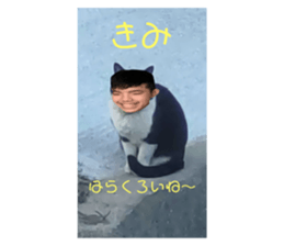 641399086