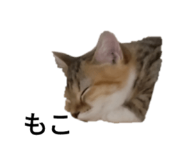 641408085