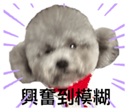 641419205
