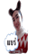 641419385