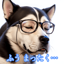 641437685