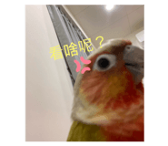 641449534