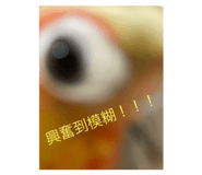 641449535