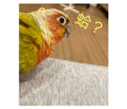 641449536