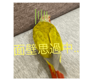 641449538