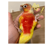 641449541