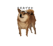641461761