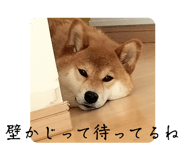 641461763