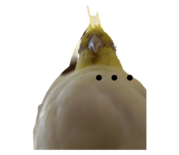 641469894