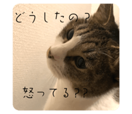 641472992