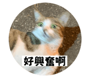 641473569