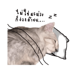 641509862