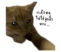 641509869