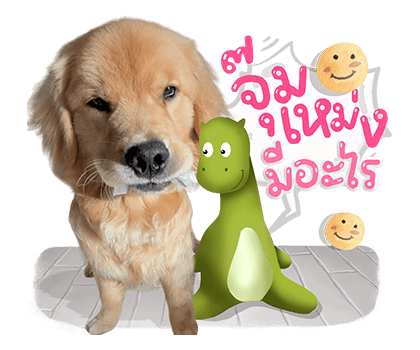 ลายที่ 1