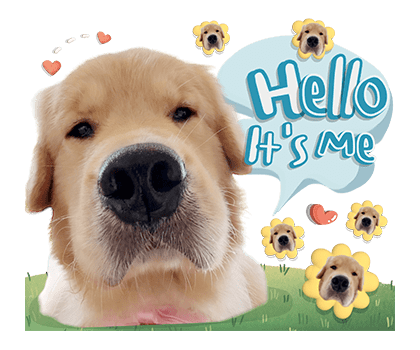 ลายที่ 3