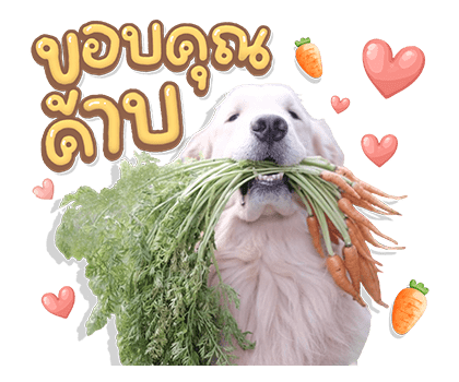 ลายที่ 5