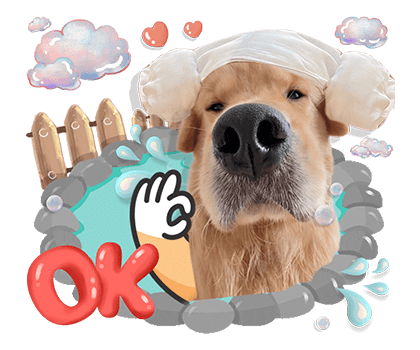 ลายที่ 7