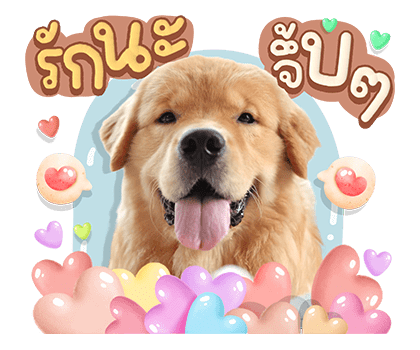 ลายที่ 9