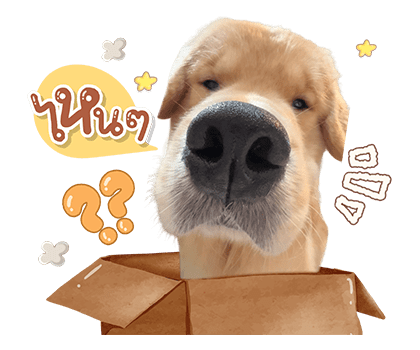 จุ๊มเหม่งมีอะไร รูปที่ 7