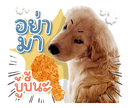 จุ๊มเหม่งมีอะไร รูปที่ 8