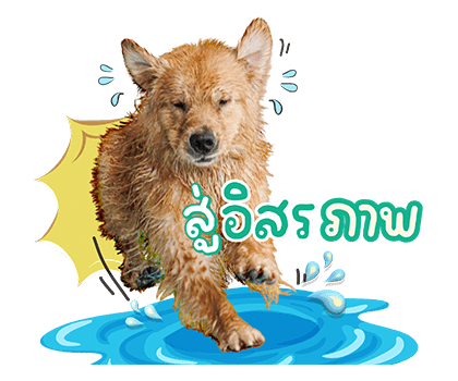 จุ๊มเหม่งมีอะไร รูปที่ 9