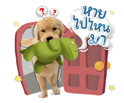 จุ๊มเหม่งมีอะไร รูปที่ 10
