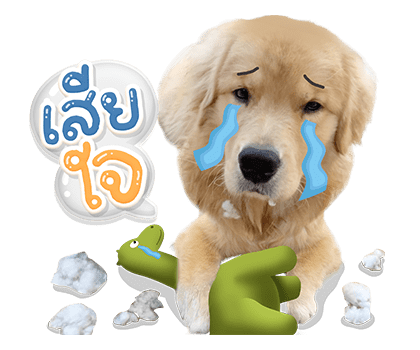 จุ๊มเหม่งมีอะไร รูปที่ 11