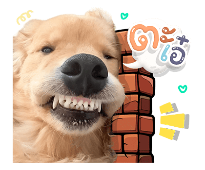 ลายที่ 25