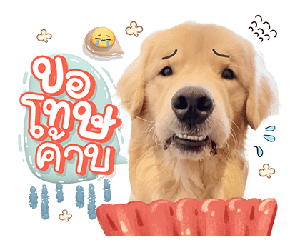 จุ๊มเหม่งมีอะไร รูปที่ 14