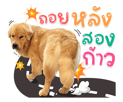 จุ๊มเหม่งมีอะไร รูปที่ 15