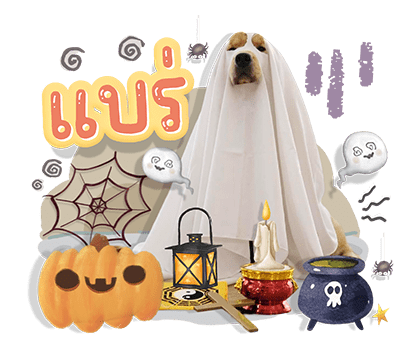 ลายที่ 31