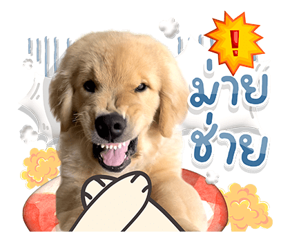 จุ๊มเหม่งมีอะไร รูปที่ 17