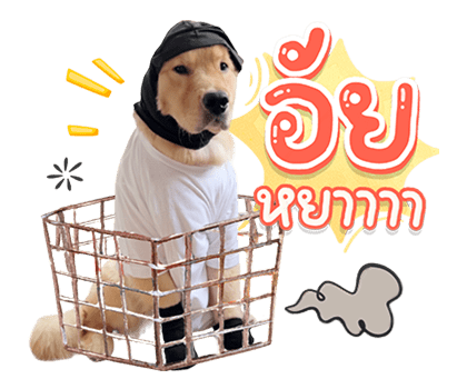 จุ๊มเหม่งมีอะไร รูปที่ 19